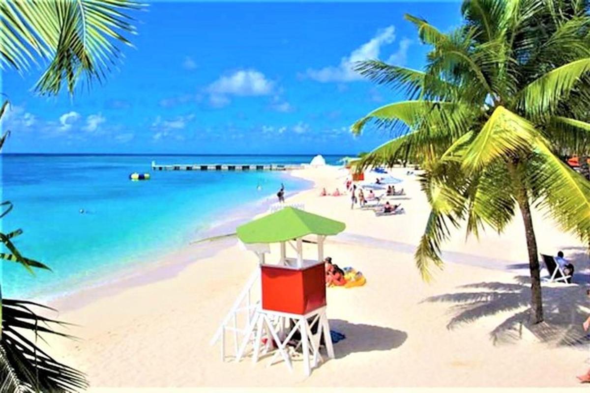 pantai dengan menara penjaga pantai dan pohon palem