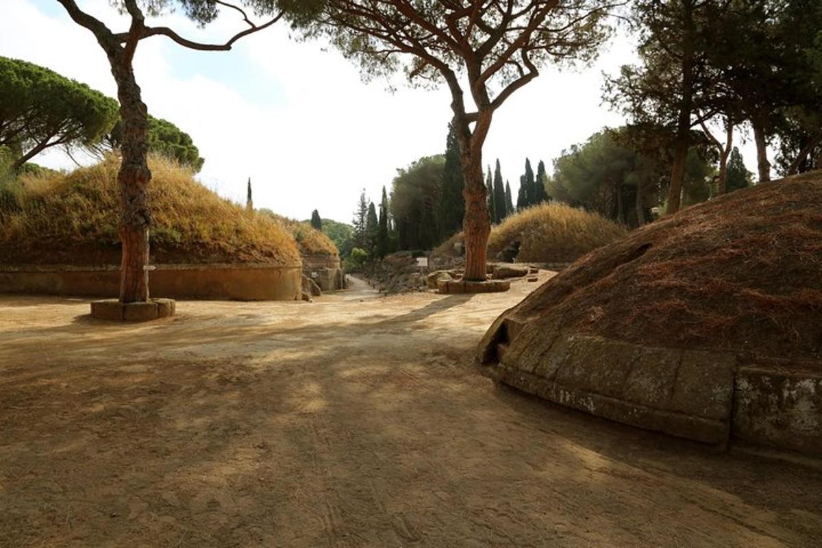 Foto dell’attrazione numero 3