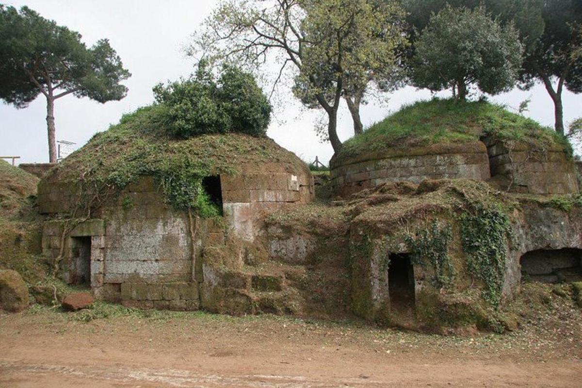 Foto dell’attrazione numero 5