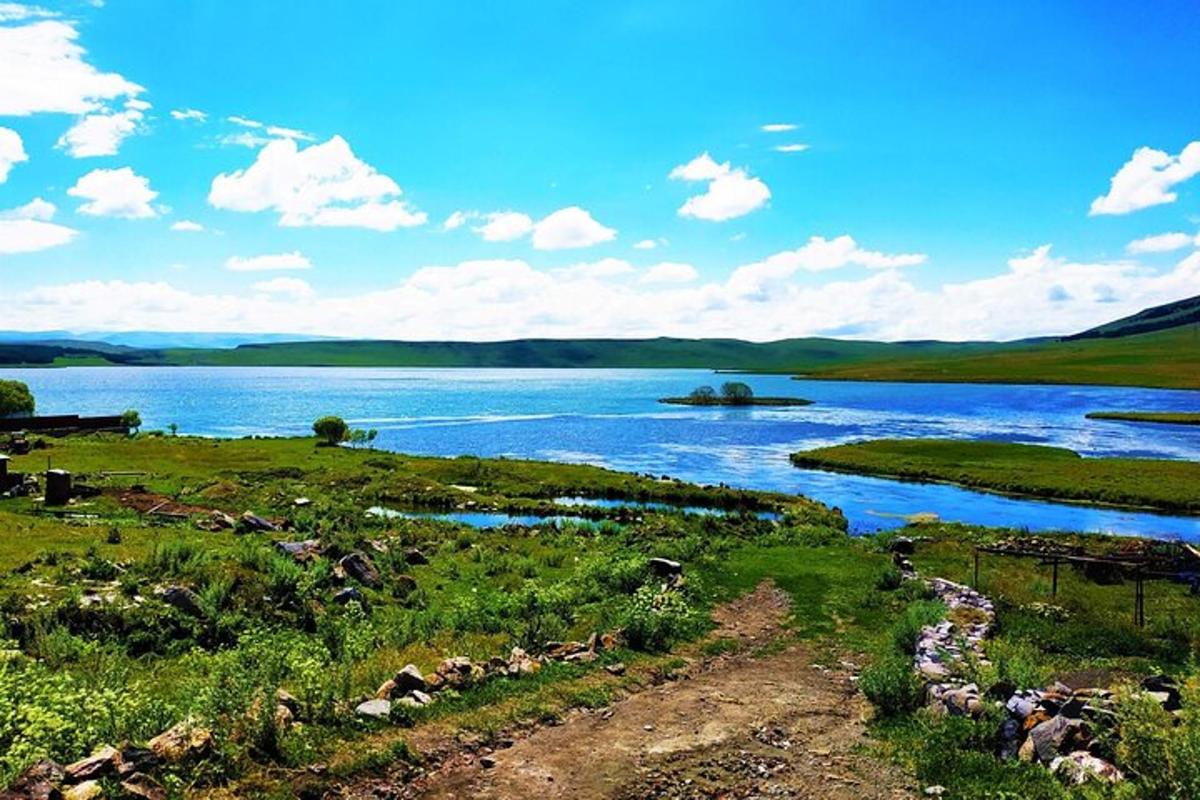 stórt vatn með grasi og dýrum í því