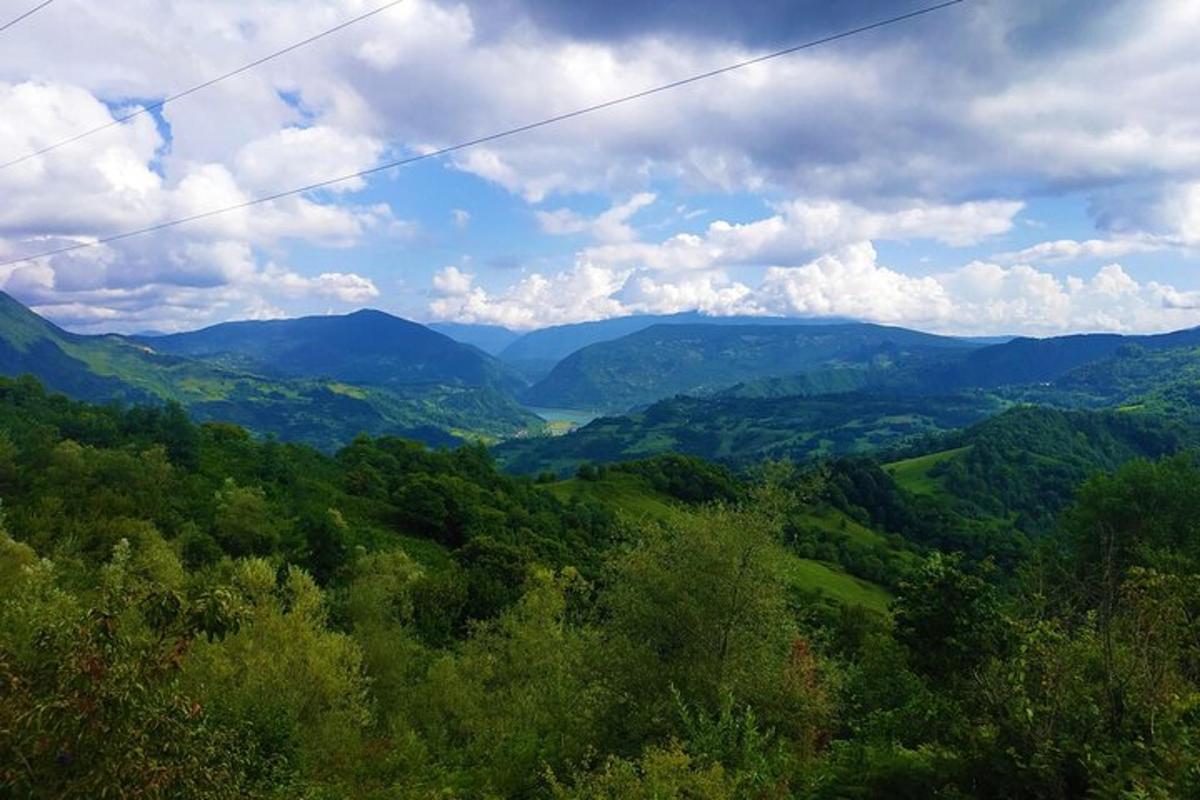 pohled na údolí s horami a stromy