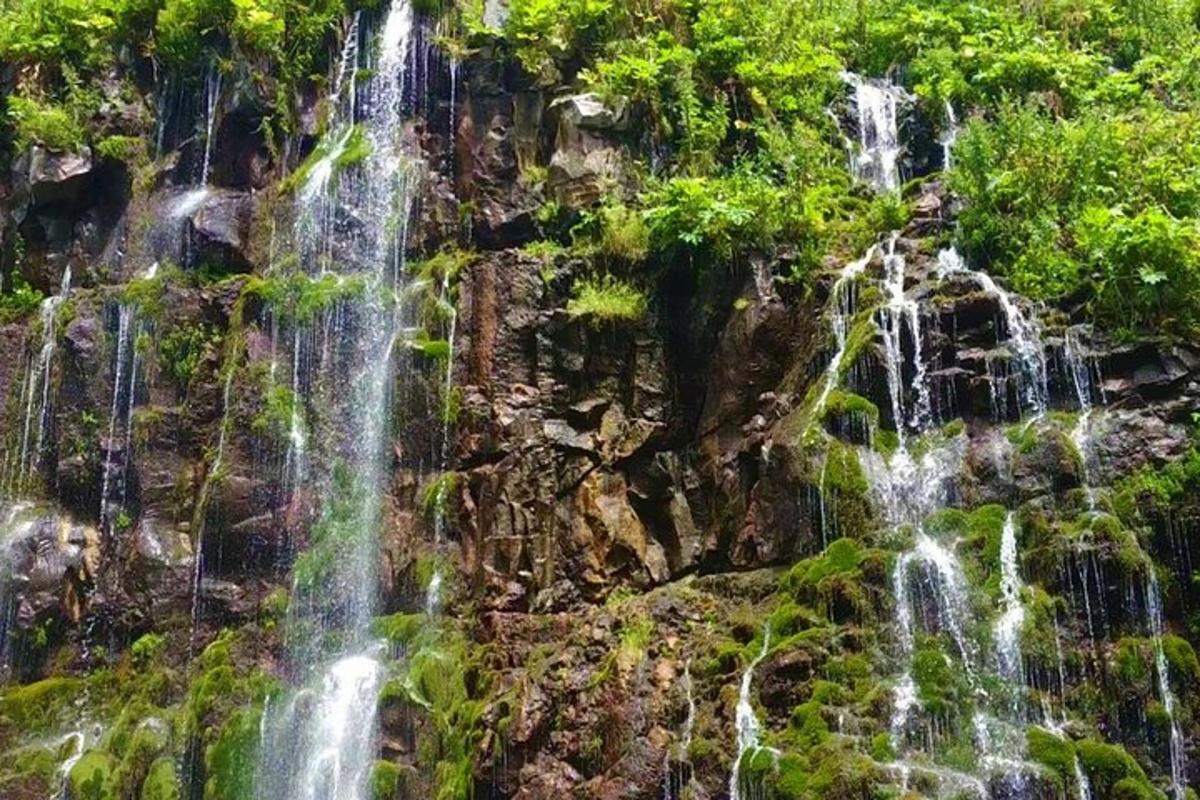 an aerial view of a waterfall in a forest