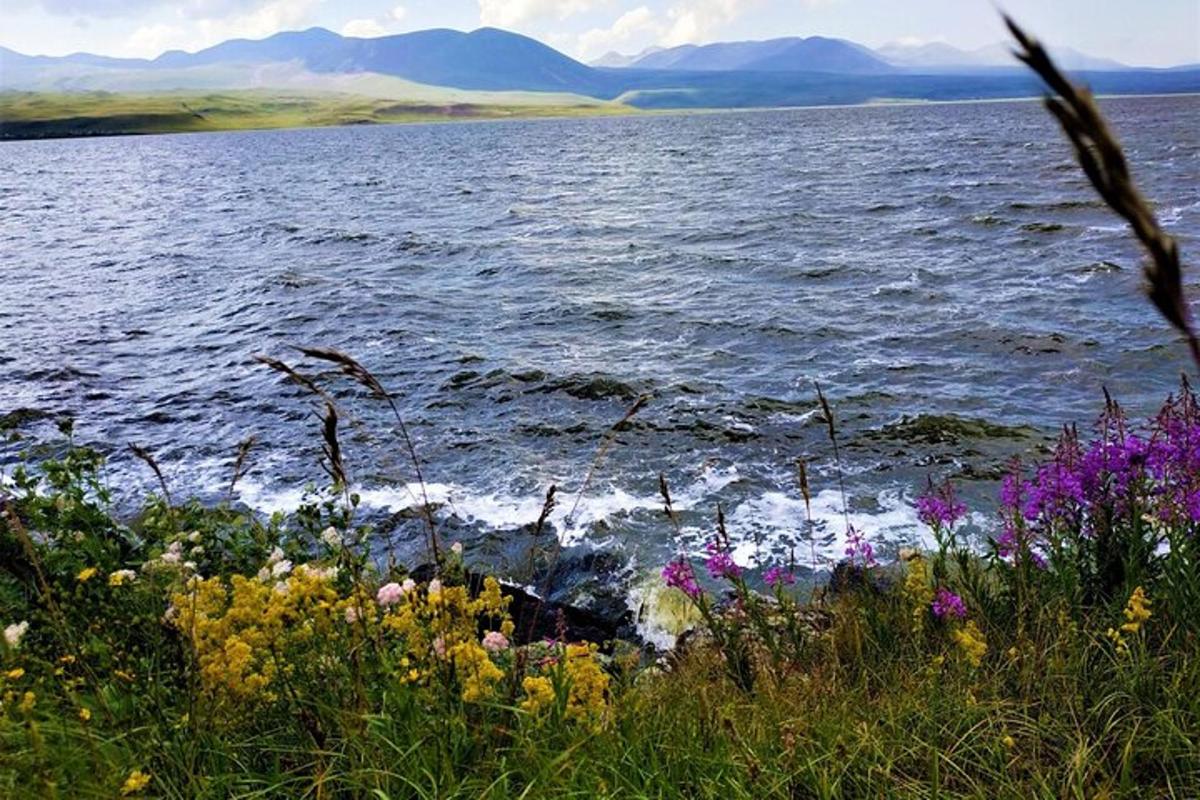útsýni yfir vatn með blómum