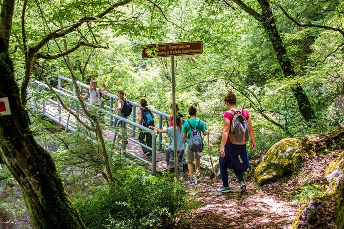 skupina ľudí kráčajúcich po chodníku v lese