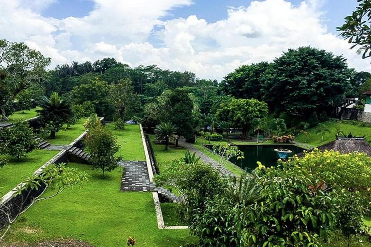 a view of a garden with a pond and trees