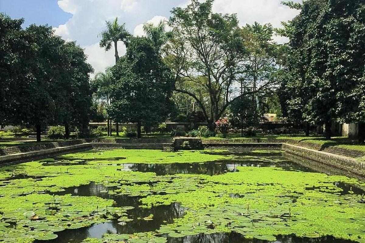 a pond with green lily pads in a park