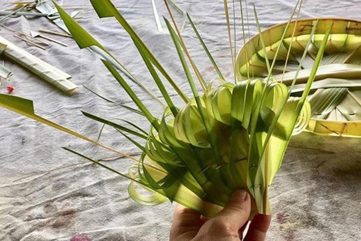 شخص يحمل نباتًا أخضر أمام طاولة