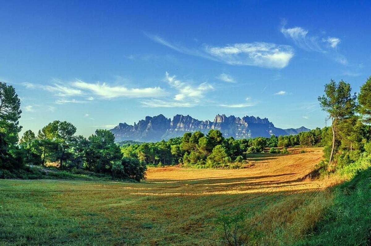 lapangan dengan pepohonan dan gunung di latar belakang