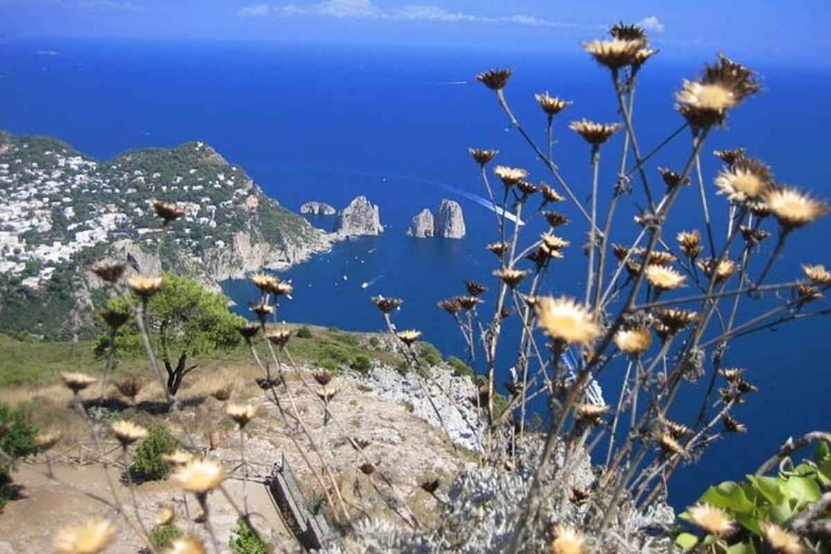 pemandangan pantai amalfi dengan bunga di atas tebing