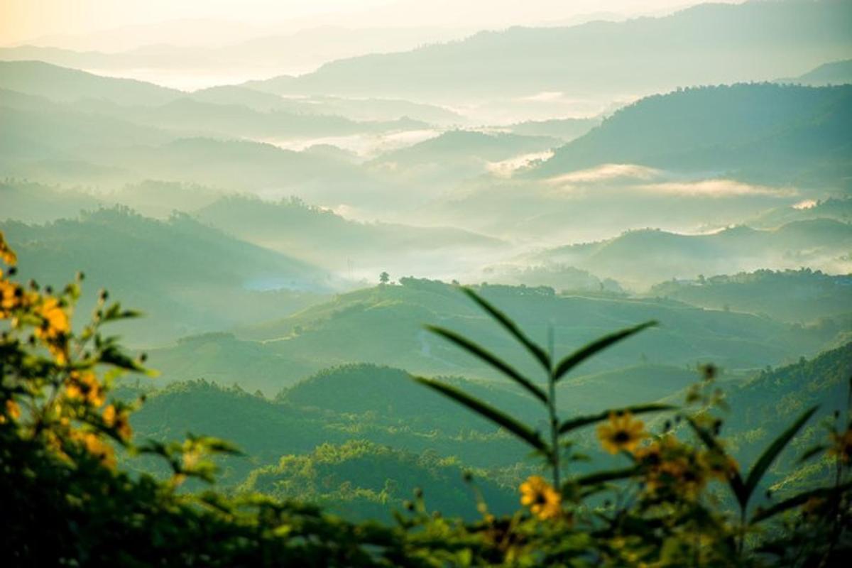 una valle nebbiosa con montagne in lontananza