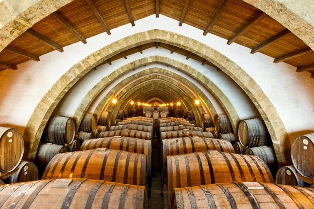 una fila di botti di vino in una cantina