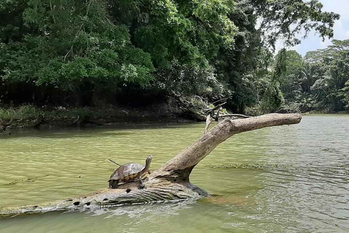 Fotografia atrakcie č. 7