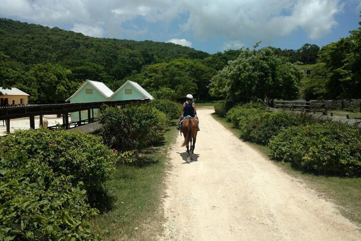 una persona a cavallo lungo una strada sterrata