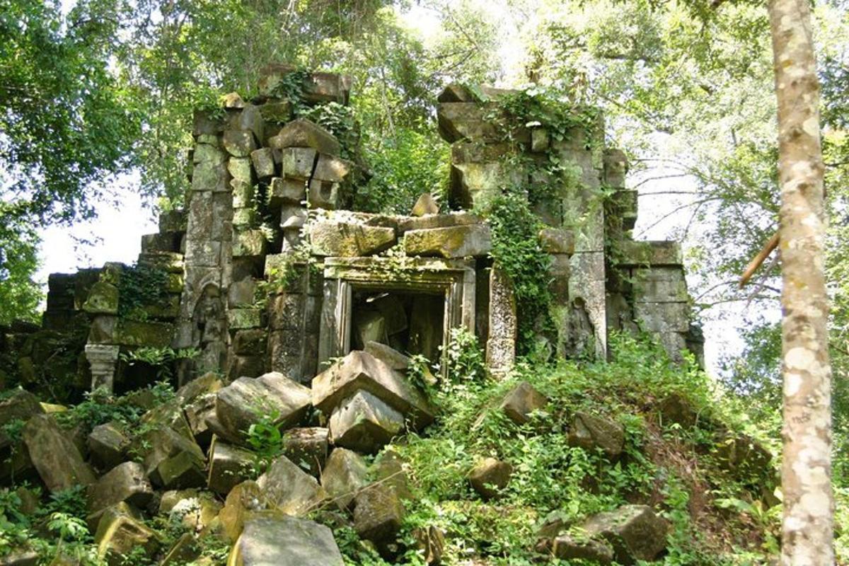 un antic edifici de pedra al mig d'un bosc