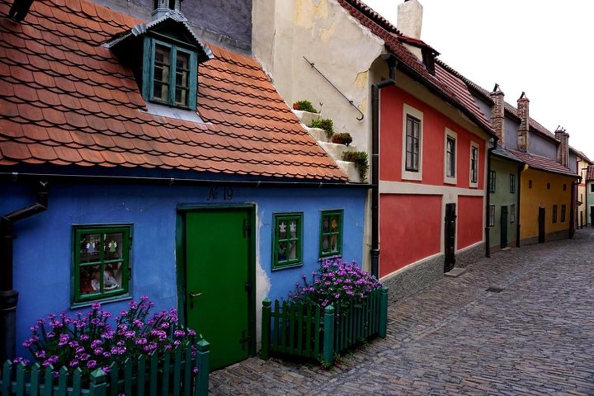 a colorful house with purple flowers on a street