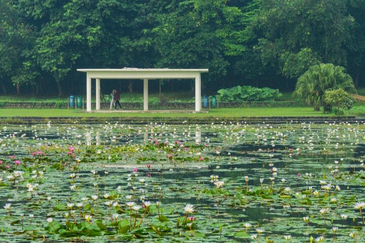 seseorang berjalan di taman dengan pavilion di kolam teratai