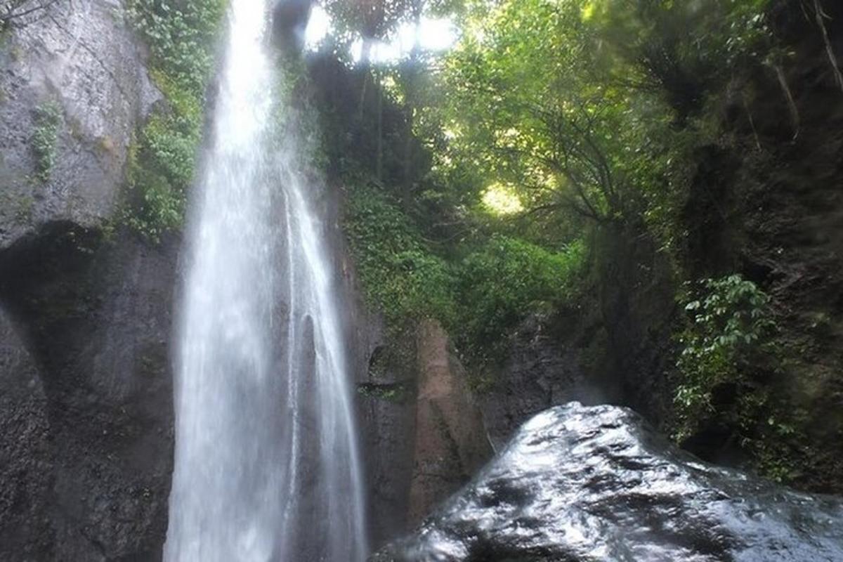 air terjun di tengah-tengah hutan dengan pokok