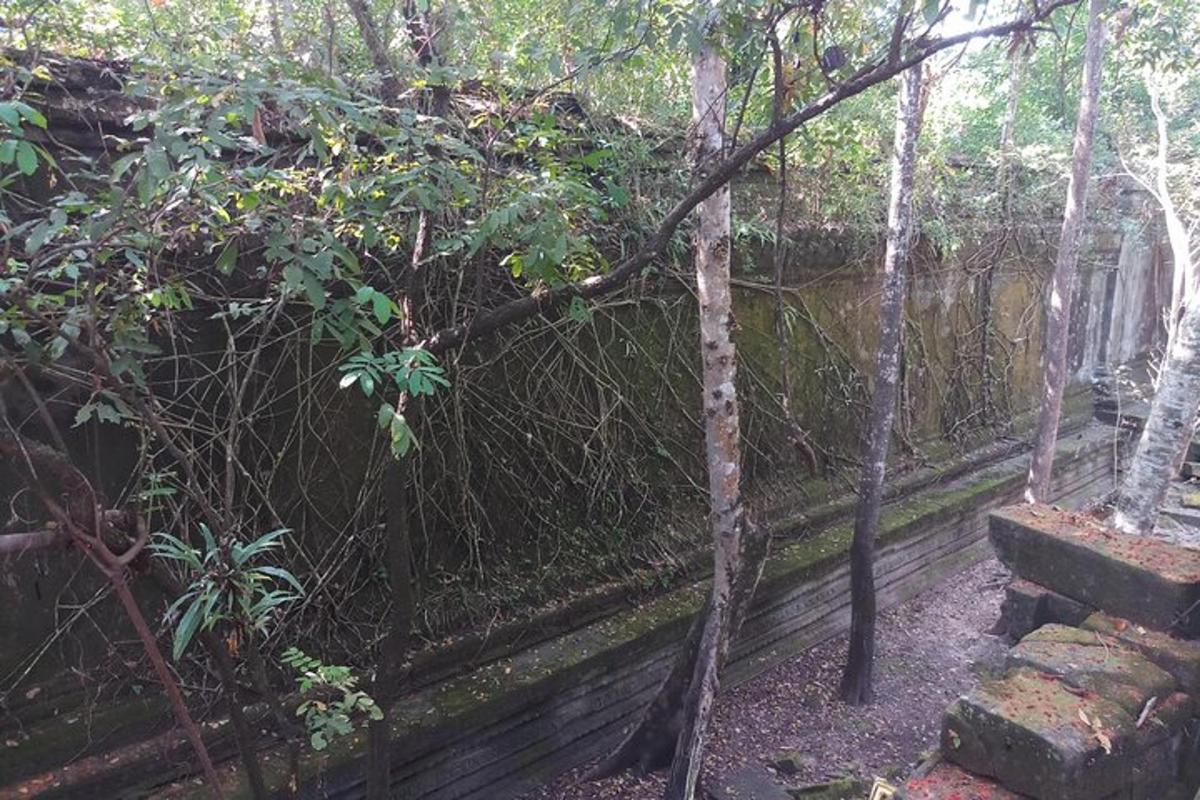 a garden with a fence and some trees