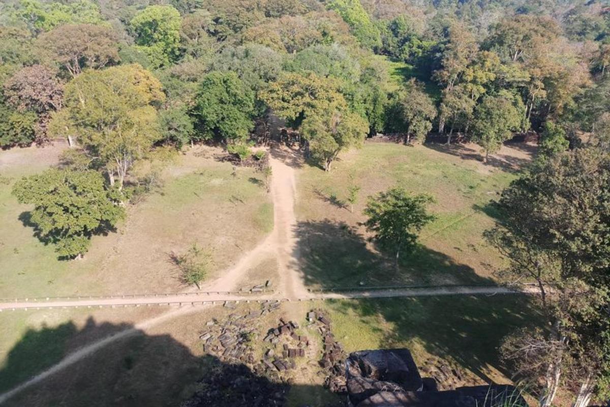 uma vista aérea de um parque com árvores e uma estrada