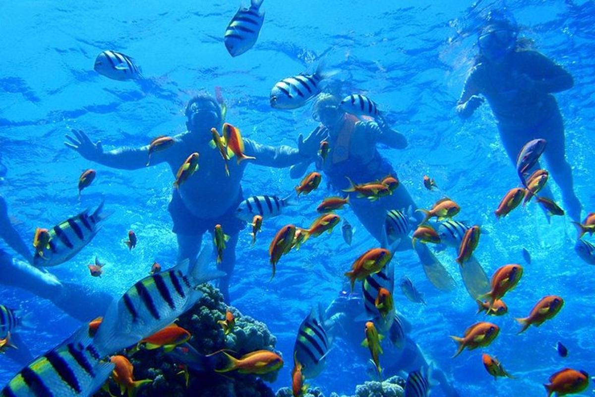 un gruppo di persone che nuotano nell'acqua con i pesci