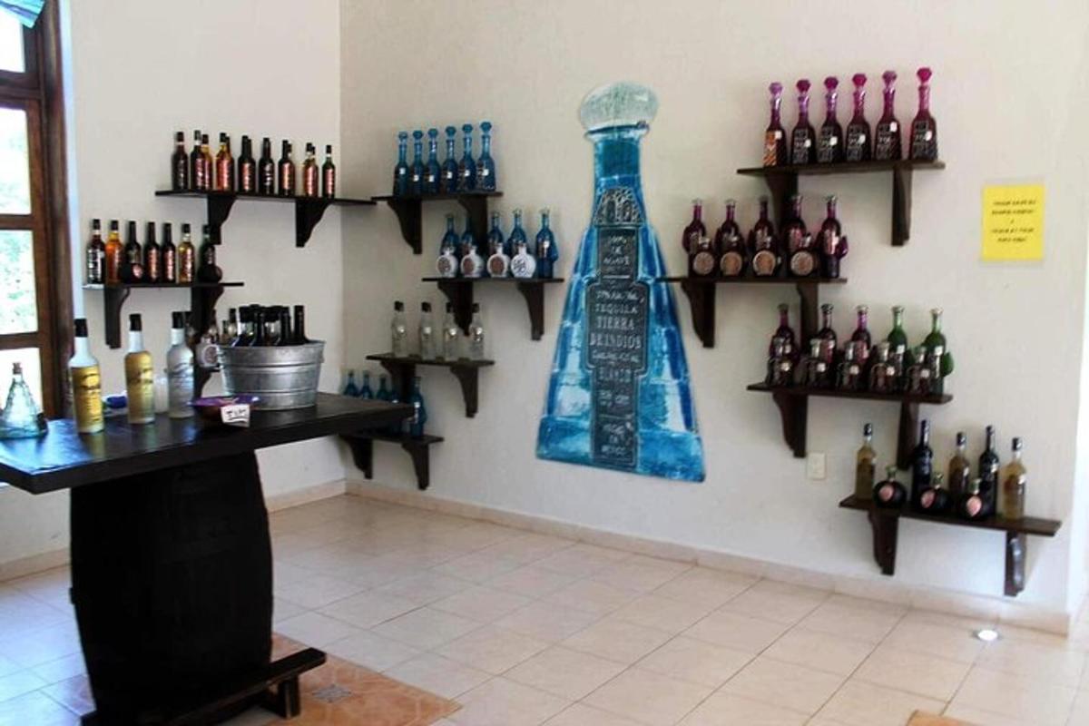 a room with shelves of bottles on a wall