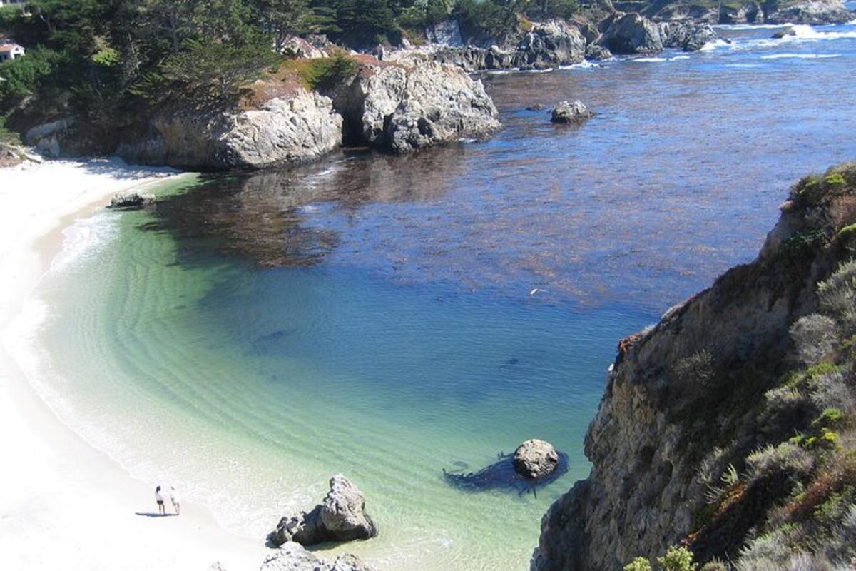 a beach with rocks and a beach with green water