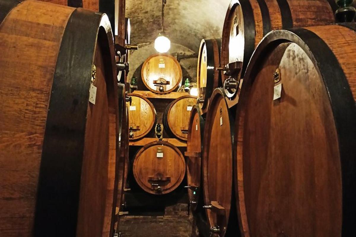 una filera de bótes de vi en un celler