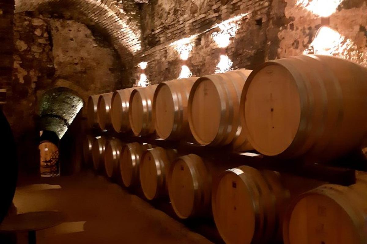 una fila di botti di vino in una cantina