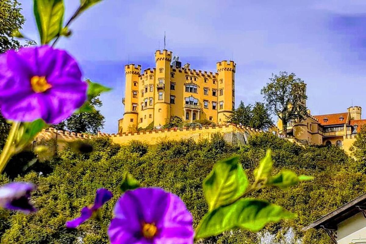 un castello in cima a una collina con fiori viola