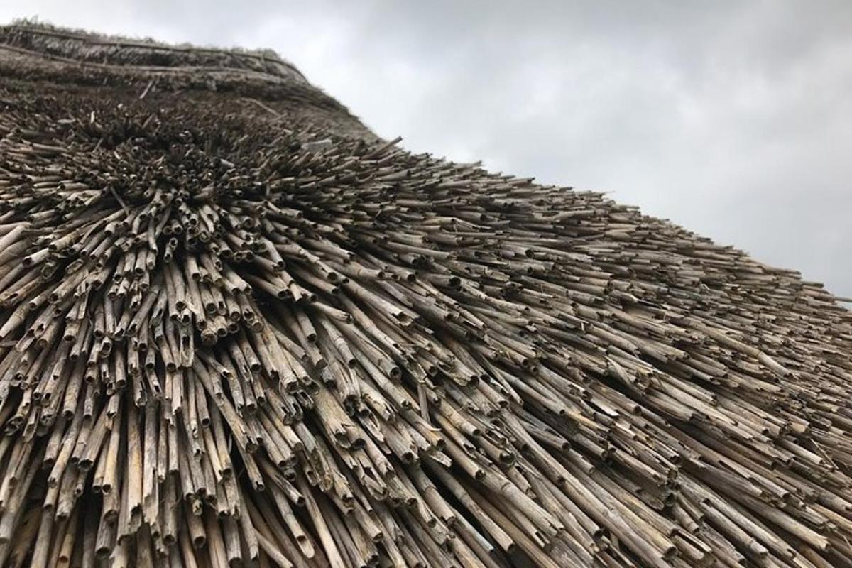 a close up of the top of a thatched roof