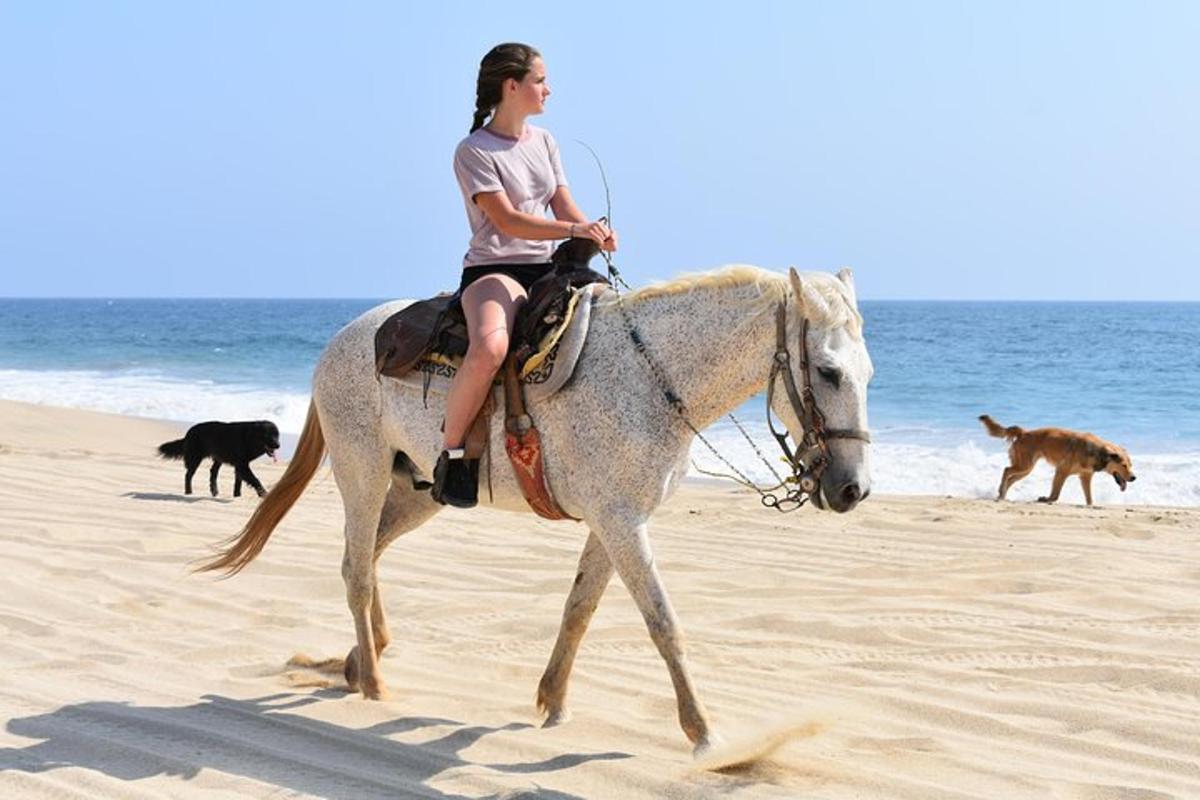 una donna a cavallo sulla spiaggia