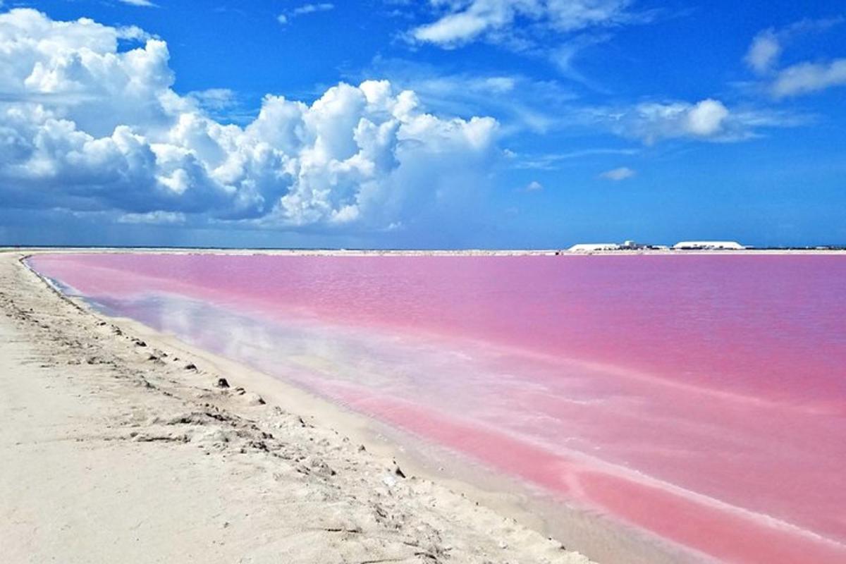 o mare întindere de apă colorată în roz