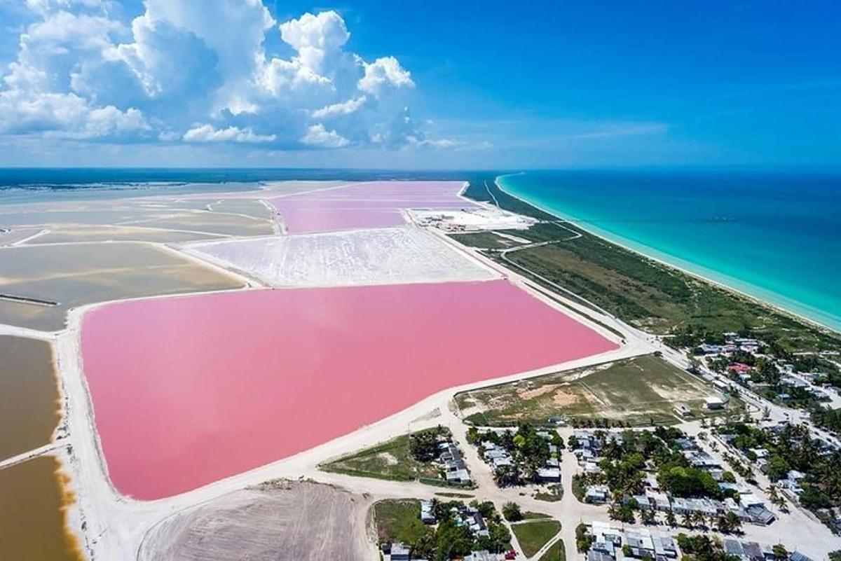 海滩上粉色海水的鸟瞰图