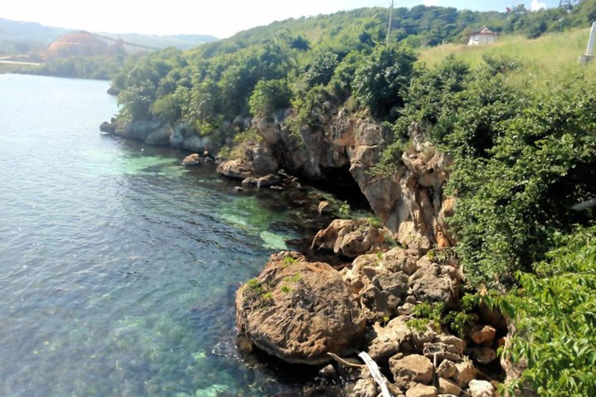 pemandangan sungai dengan batu dan pokok