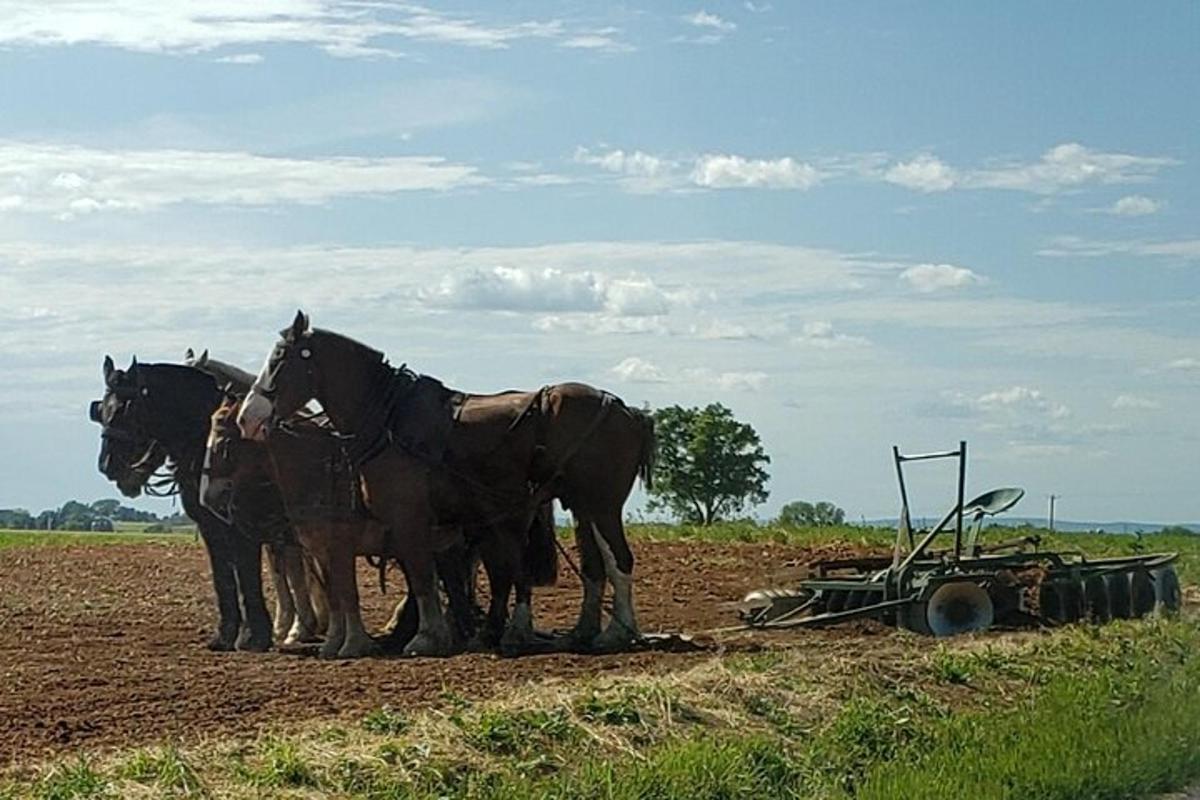 Photo de l’attraction numéro 4.