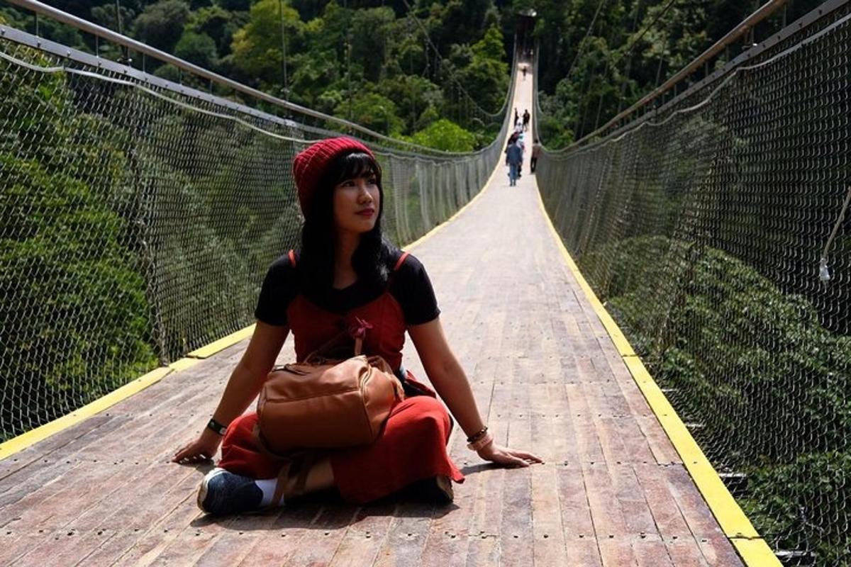 uma mulher sentada em uma ponte em uma ponte suspensa
