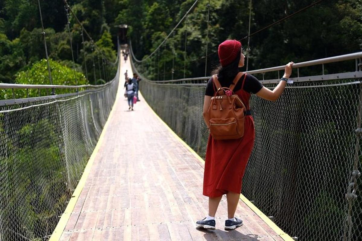 a woman is standing on a suspension bridge