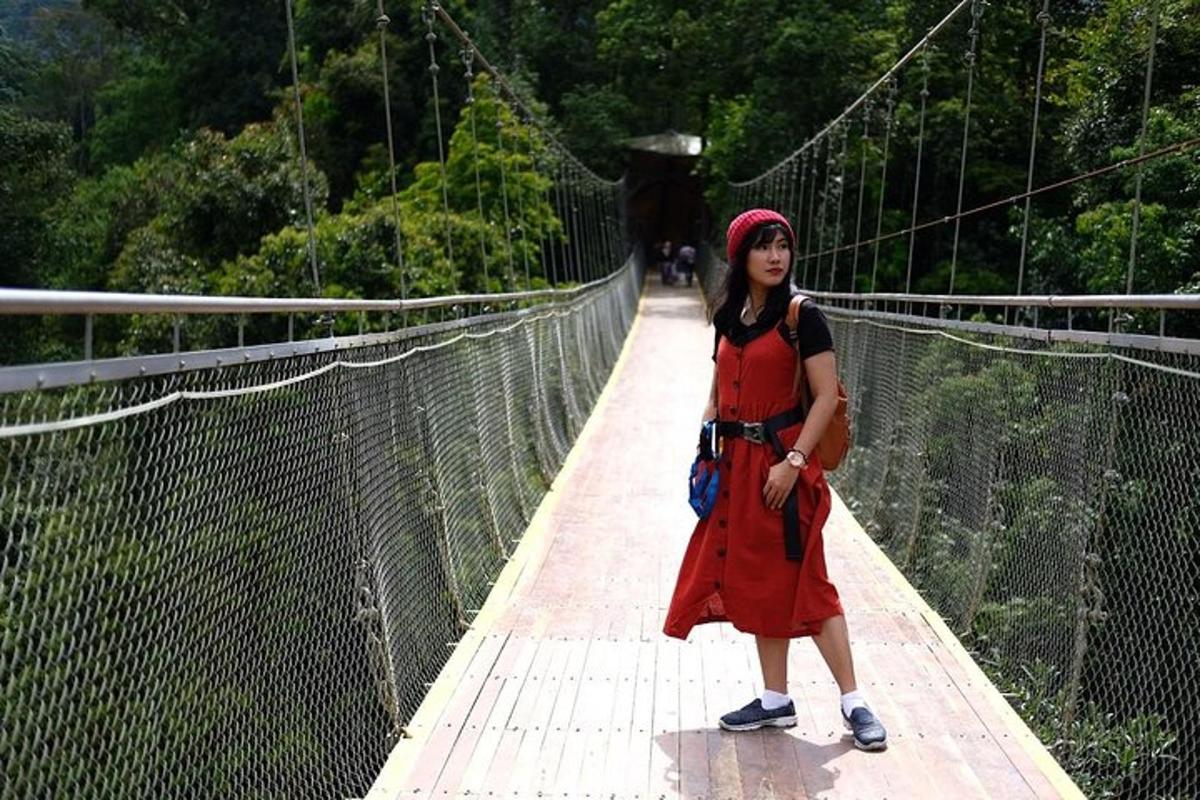 uma mulher está em pé em uma ponte suspensa