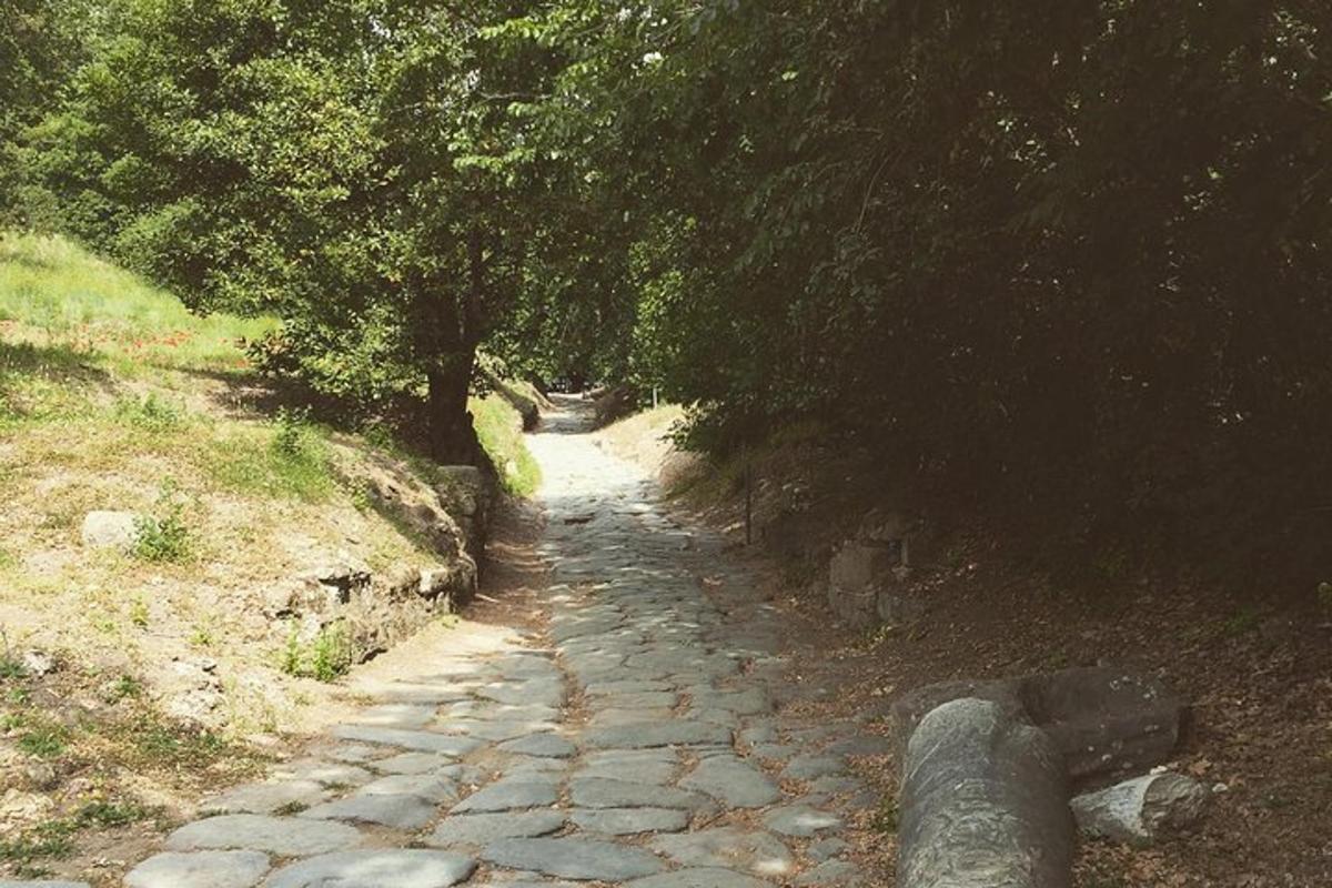 ένα πέτρινο μονοπάτι με δέντρα στην πλαγιά ενός λόφου