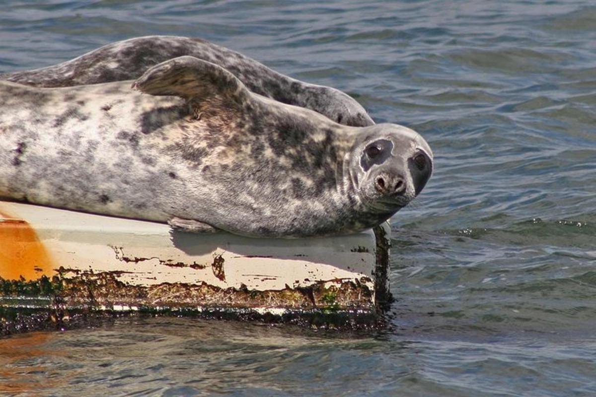 Lankytinos vietos ar pramogos nuotrauka numeris 4