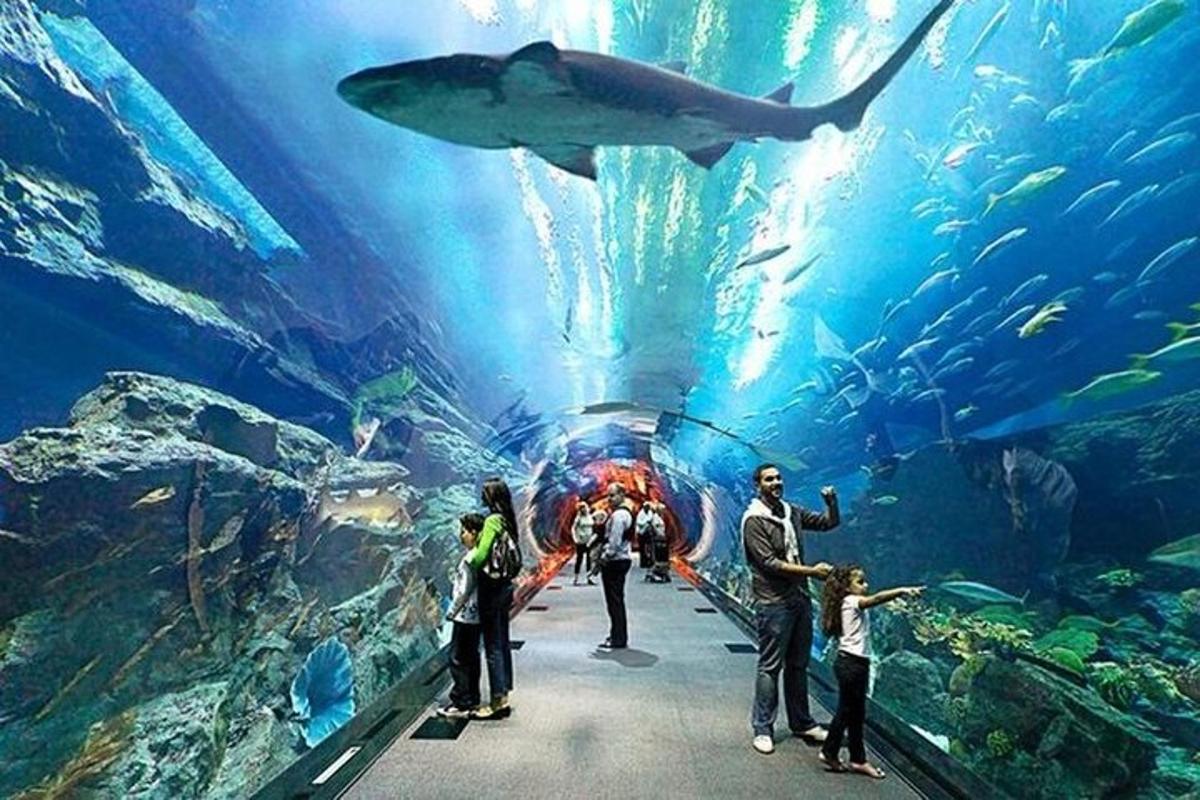 Attraction picture 1