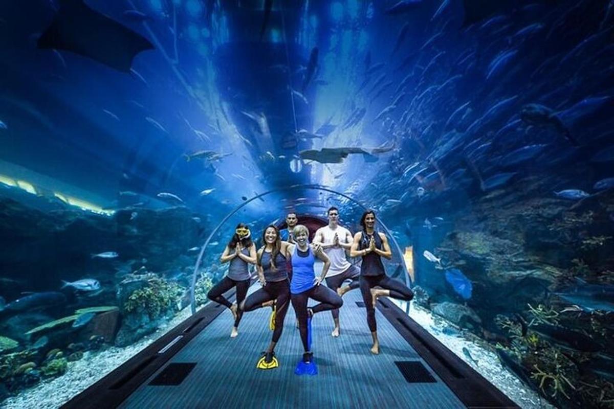 Attraction picture 5