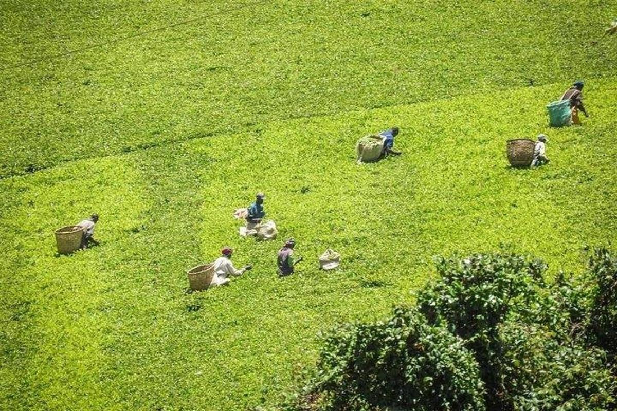 sekumpulan orang yang duduk di padang rumput