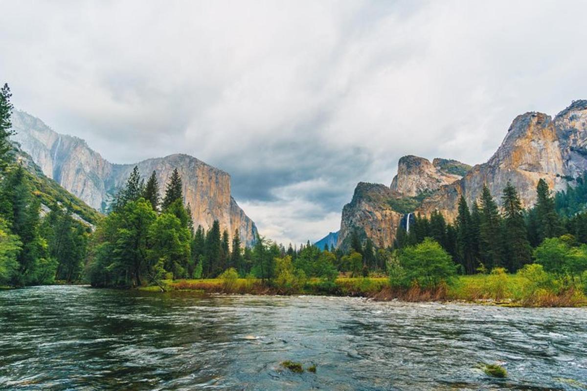 a river with trees and mountains in the background