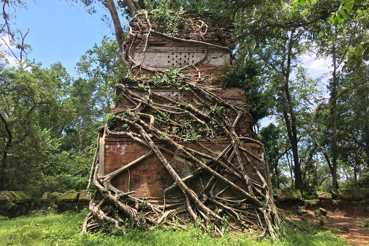 Una torre de ladrillo con vides en un campo.
