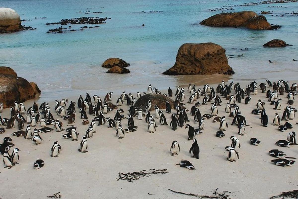 Fotografia da atração 3