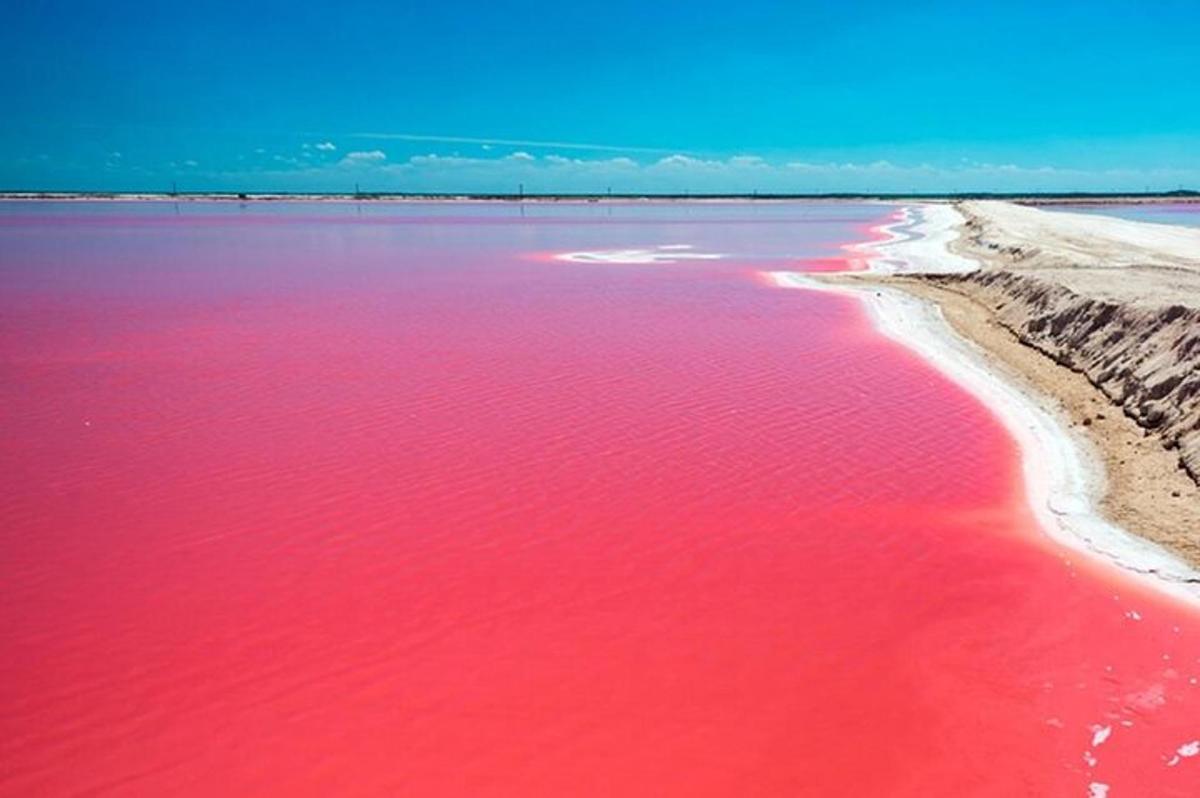 велика водойма з рожевою водою