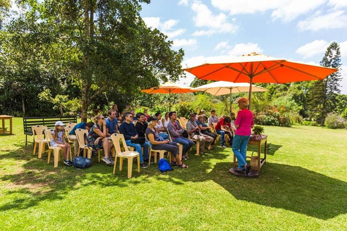 a group of people sitting in chairs under an umbrella
