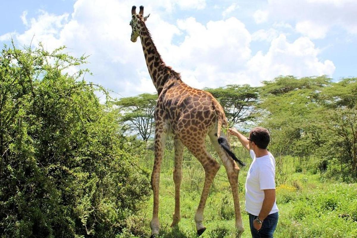 a man standing next to a giraffe in a field