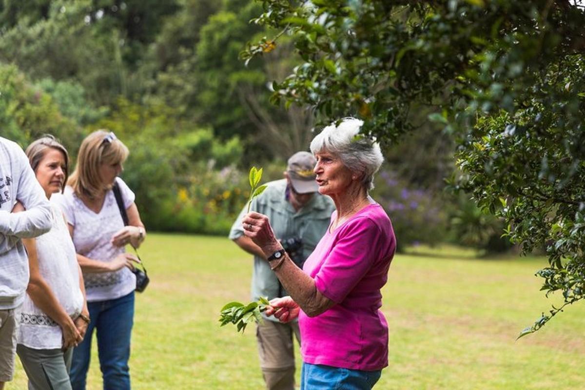 a group of people standing in a field